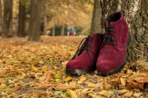 zapatos en otoño